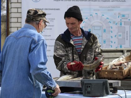 Сколько реально стоит рыба в Астраханской области - полный разбор 