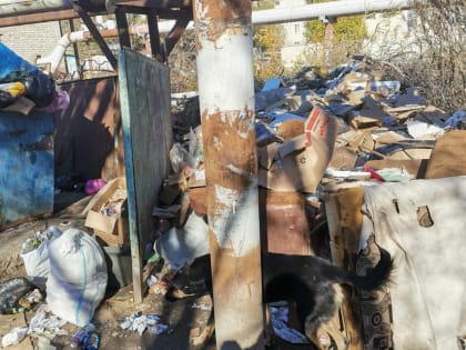 В Астрахани продолжаются проблемы с вывозом мусора