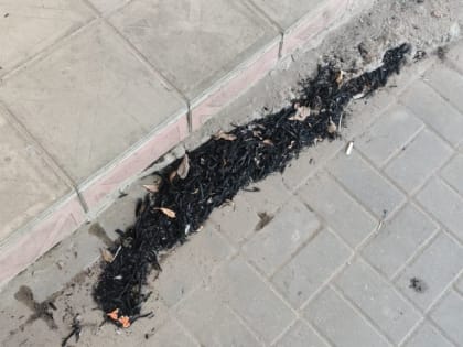 МЧС предупреждает астраханцев о запахе