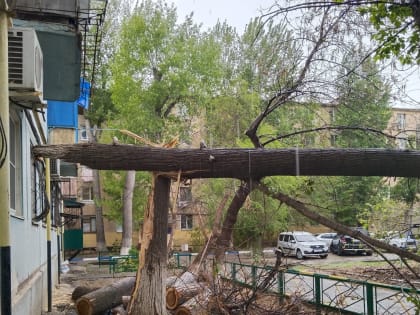 В Астраханской области устраняют последствия ливня и шквалистого ветра до 26 м/с