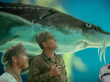 Астраханцы увеличили производство осетровых и черной икры