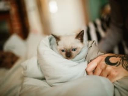 Спасатель рассказал, как безопасно согреться после мороза