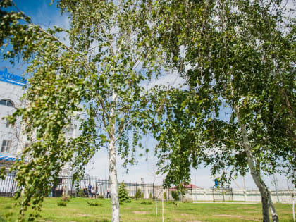 Небольшое похолодание обещают синоптики астраханцам 20 марта