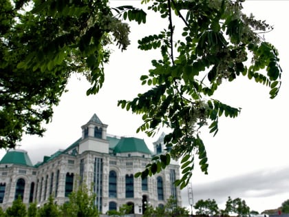 Какие сюрпризы приготовила астраханцам майская погода