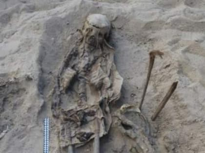 Российские археологи нашли в Египте захоронение подростка со 140 собаками