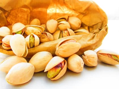 Астраханская область: первый урожай фисташек в России