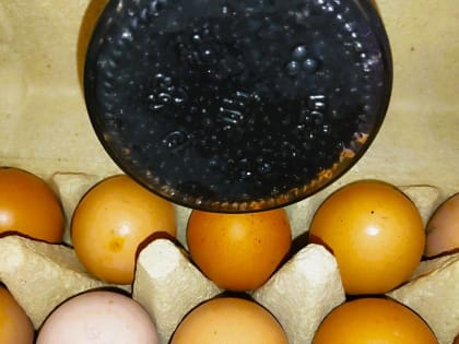 Увеличение производства икры в Астраханской области