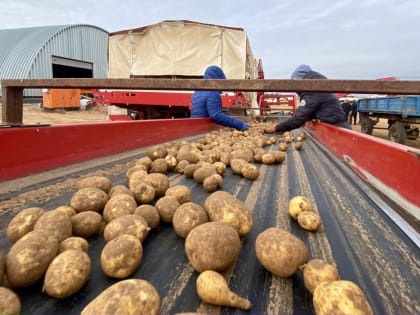 В Астраханской области создадут 3,5 тысячи новых рабочих мест