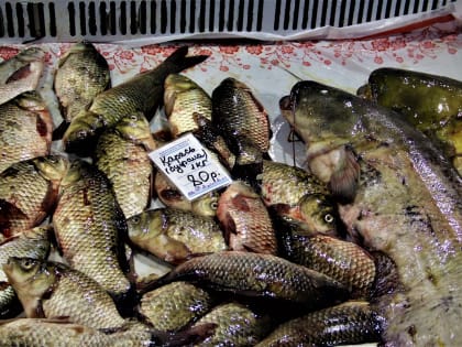 Как весенняя путина сказалась на цене астраханской рыбы