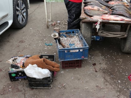 Астраханцам не рекомендуют покупать рыбу в сомнительных местах