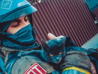 Астраханский спасатель вынес из горящего дома до смерти напуганного кота