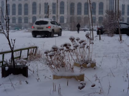 Снег и туман прогнозируют сегодня в Астраханской области 