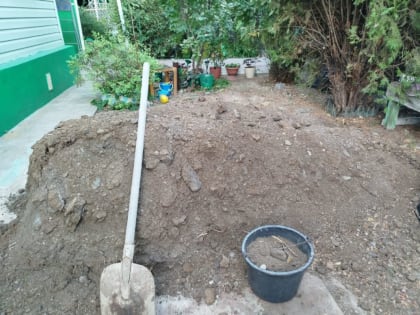 Осенняя подкормка растений: важные советы для садоводов