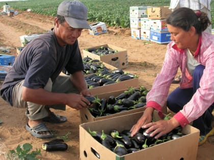 На работу в Астраханскую область приедут 10 тысяч трудовых мигрантов