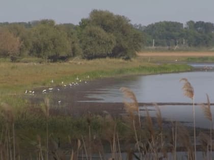 На подкачку астраханских водоёмов выделят свыше 76 млн рублей