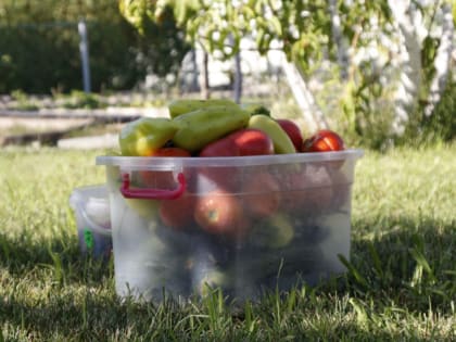 Эти овощи мы едим постоянно и&nbsp;не подозреваем об&nbsp;их опасности