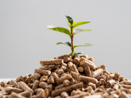 Пеллетный завод под Астраханью снизит пожароопасность в регионе