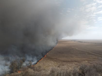 Площадь пожара Астраханском государственном заповеднике превышает 11 тысяч га