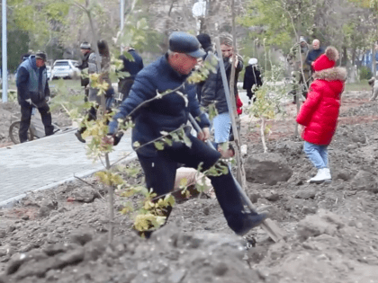 Один из астраханских райцентров обрел дубовую аллею