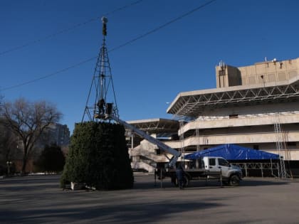Администрация Астрахани приступила к установке ёлок