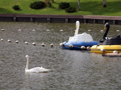 Сильная жара идет в&nbsp;южные регионы&nbsp;