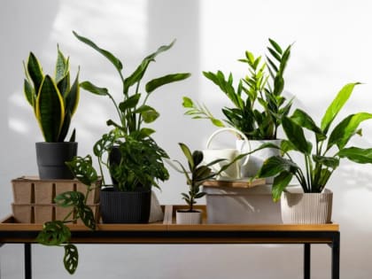 Экономические изменения в апреле 2023 года