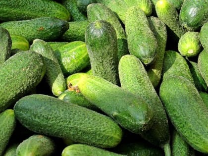 В Астрахани резко подорожали продукты