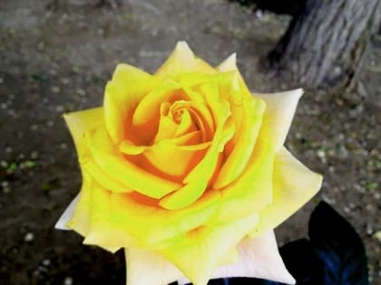 Последний день весны в Астраханской области будет влажным