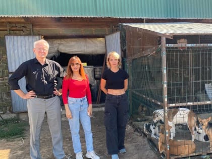 Олег Шеин: Астраханские предприниматели показывают пример работы с бездомными животными