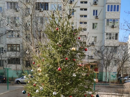 Соревнование за самый красивый зимний двор продолжается