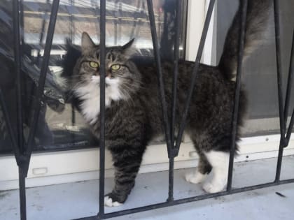 Погода, праздники, именины во вторник 3 октября