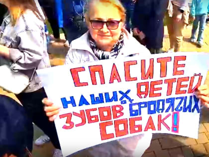 Рассерженные бродячими собаками астраханцы собрались на митинг