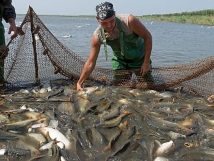 Астраханские рыболовецкие предприятия массово ищут работников