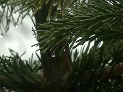 Как преодолеть послепраздничную грусть