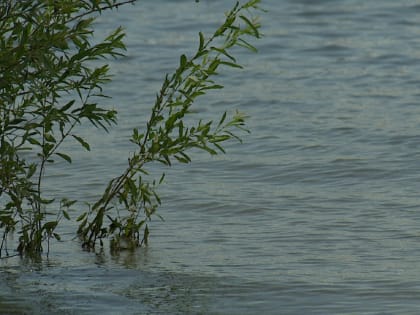 В Астраханской области в реке Волге утонул 71-летний туляк