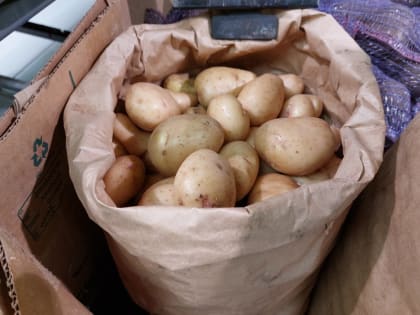 Куда отправляют первый астраханский картофель