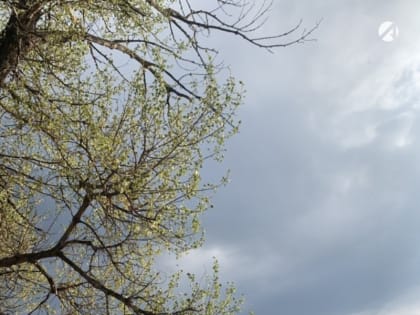 30 апреля астраханцев ждёт пасмурная и ветреная погода