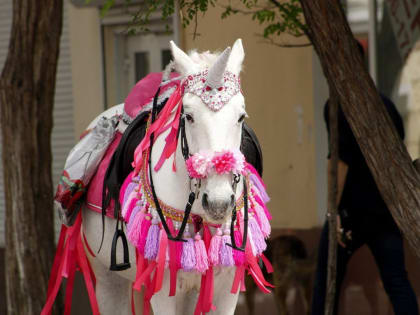 Предсказание для каждого знака зодиака на 2023 год