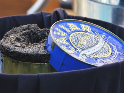 В Астраханскую область ввезли подозрительную черную икру