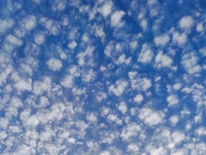 4 января в Астрахани сохранится плюсовая температура