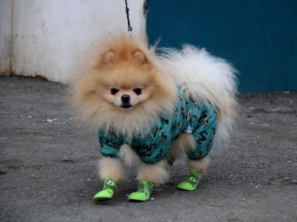 Значимые события в городе: подготовка к празднику