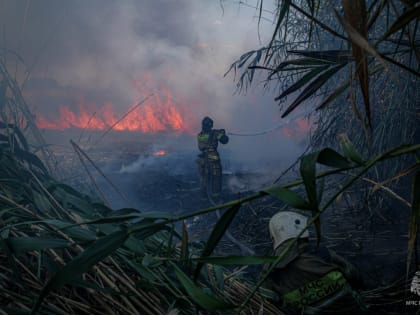 Больше 5 часов под Астраханью тушили горящий камыш