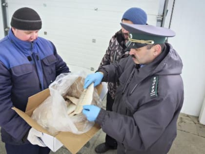 Недружественные страны получили 30% экспортируемой астраханской рыбы