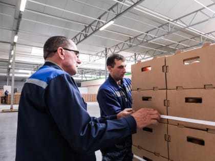 Какие зарплаты предлагают астраханским грузчикам и разнорабочим