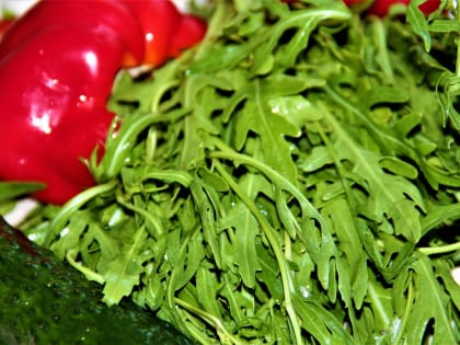Секреты астраханской кухни: салат с рукколой