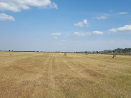 Погода, праздники, именины в понедельник 11 сентября