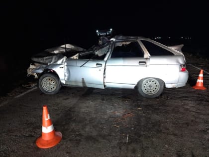 В Астраханской области 17-летний юноша за рулём «Лады» погиб при столкновении с лошадьми