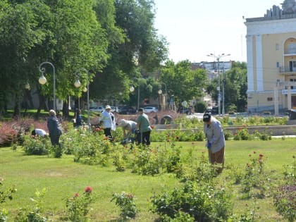 На площади Ленина в Астрахани обновили цветники