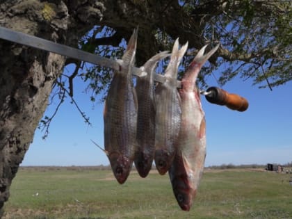 Прогноз погоды,  именины, праздники в Астрахани в четверг 20 апреля