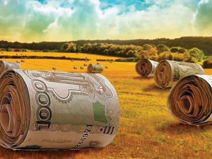 Федеральные субсидии доходят не до всех астраханских фермеров